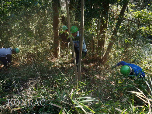 ���R��y��