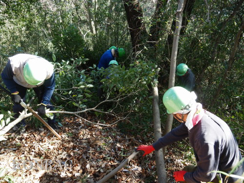 ���R��y��