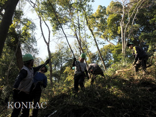 ���R��y��