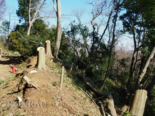 ���R��y��