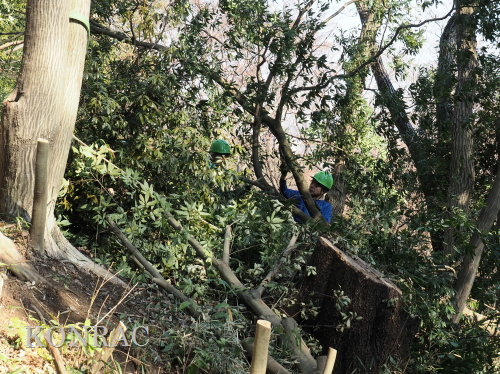 ���R��y��