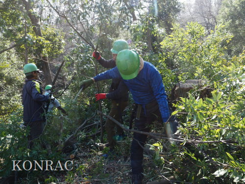 ���R��y��