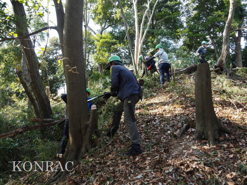 ���R��y��