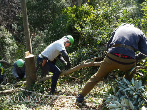 ���R��y��