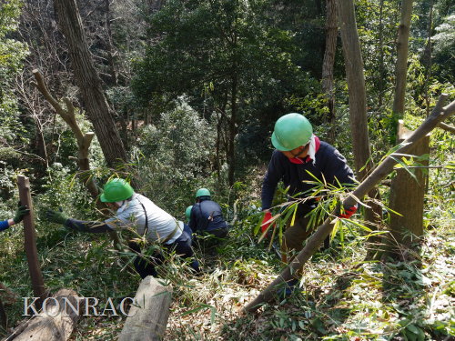 ���R��y��