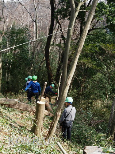 ���R��y��