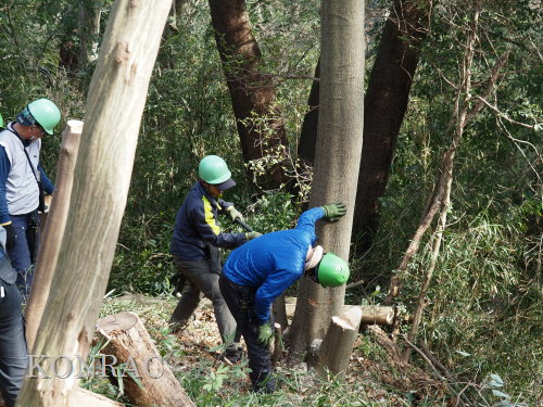 ���R��y��