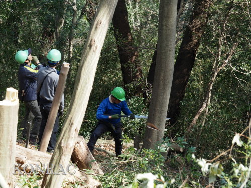 ���R��y��