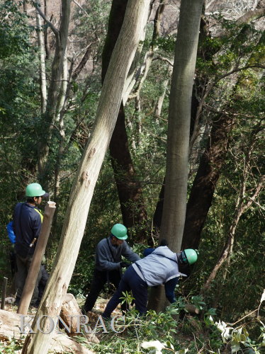 ���R��y��