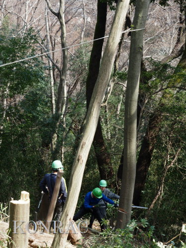 ���R��y��