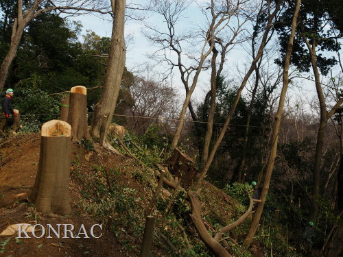 ���R��y��