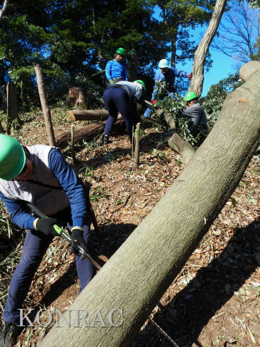 ���R��y��