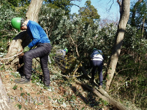 ���R��y��