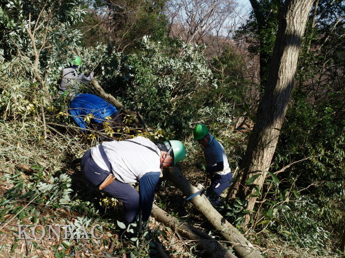 ���R��y��