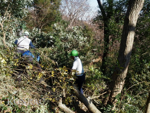 ���R��y��