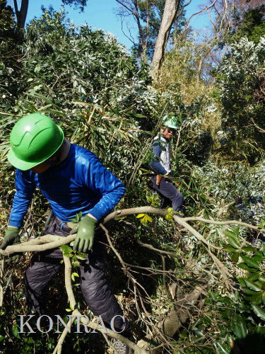 ���R��y��