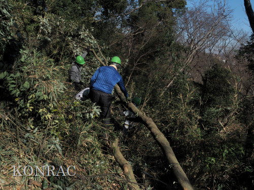 ���R��y��