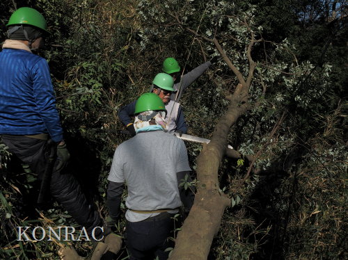 ���R��y��