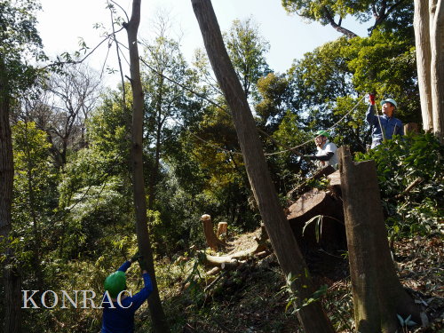 ���R��y��