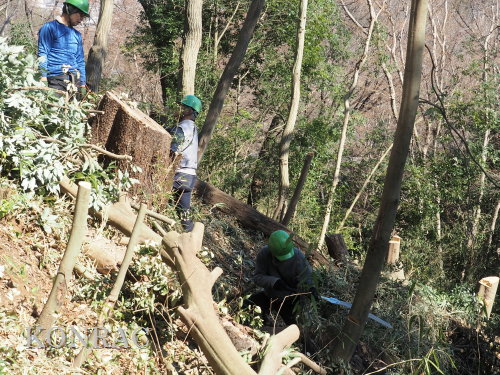 ���R��y��