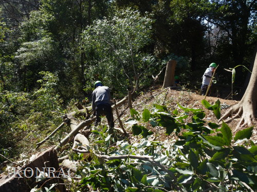 ���R��y��