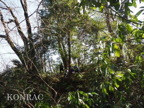 ���R��y��