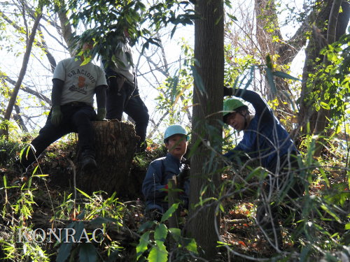 ���R��y��