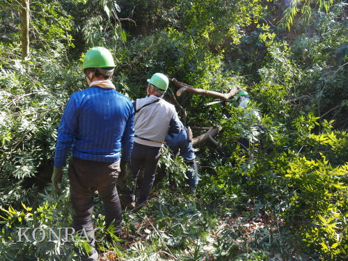 ���R��y��