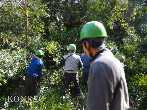 ���R��y��