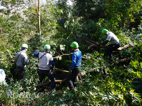 ���R��y��