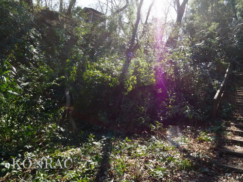 ���R��y��