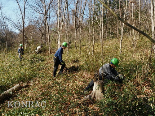 ���R��y��