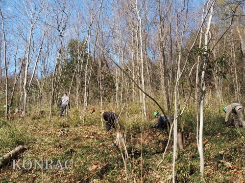 ���R��y��