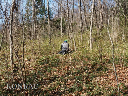 ���R��y��