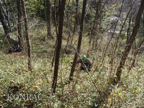 ���R��y��