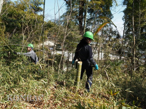 ���R��y��