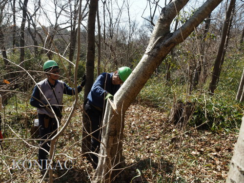 ���R��y��