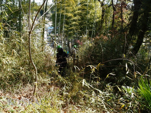 ���R��y��