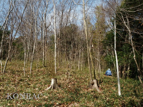 ���R��y��