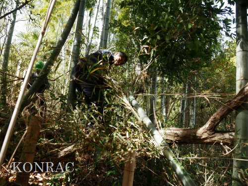 ���R��y��