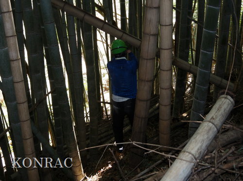 ���R��y��