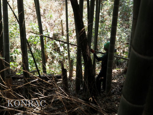 ���R��y��