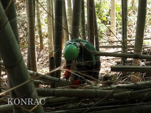 ���R��y��