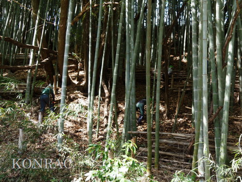 ���R��y��