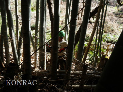 ���R��y��