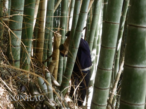 ���R��y��