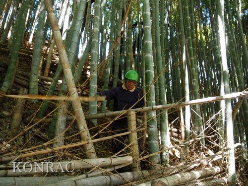 ���R��y��