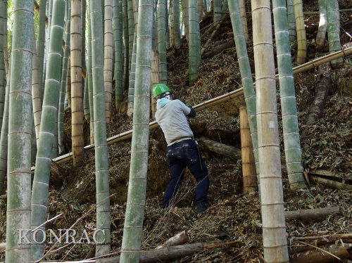 ���R��y��