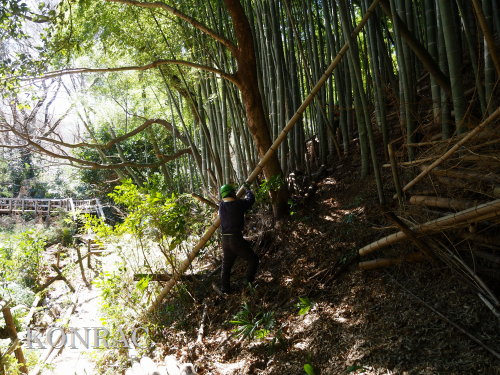 ���R��y��