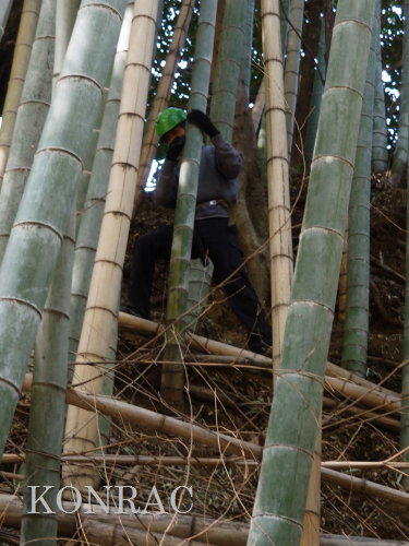 ���R��y��